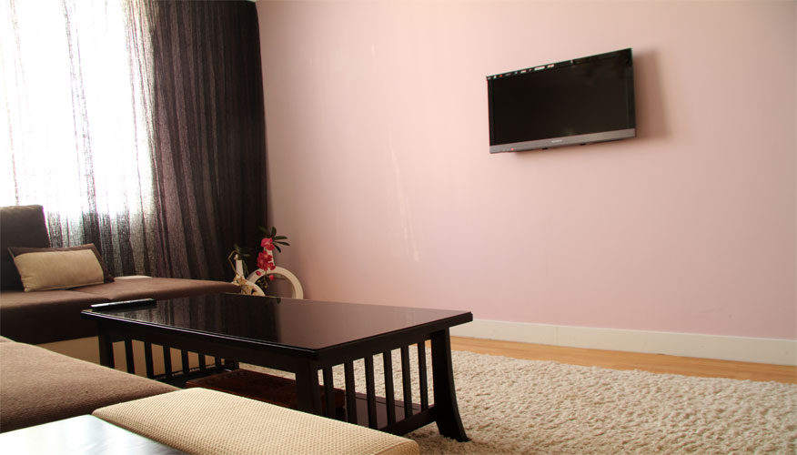 Помесячная аренда в центре Кишинева: 2 комнаты, 1 спальня, 47 m²